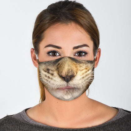 Brown Maine Coon Cat Face Mask