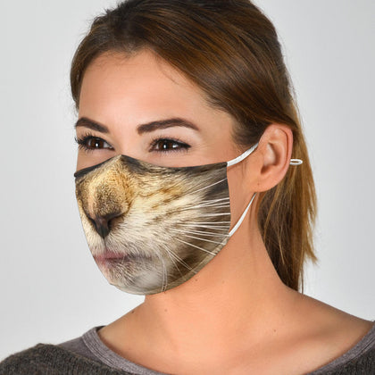 Brown Maine Coon Cat Face Mask