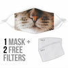 Brown Tabby Cat Face Mask