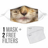 Brown Maine Coon Cat Face Mask
