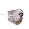 British Blue Cat Face Mask