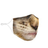 Brown Maine Coon Cat Face Mask