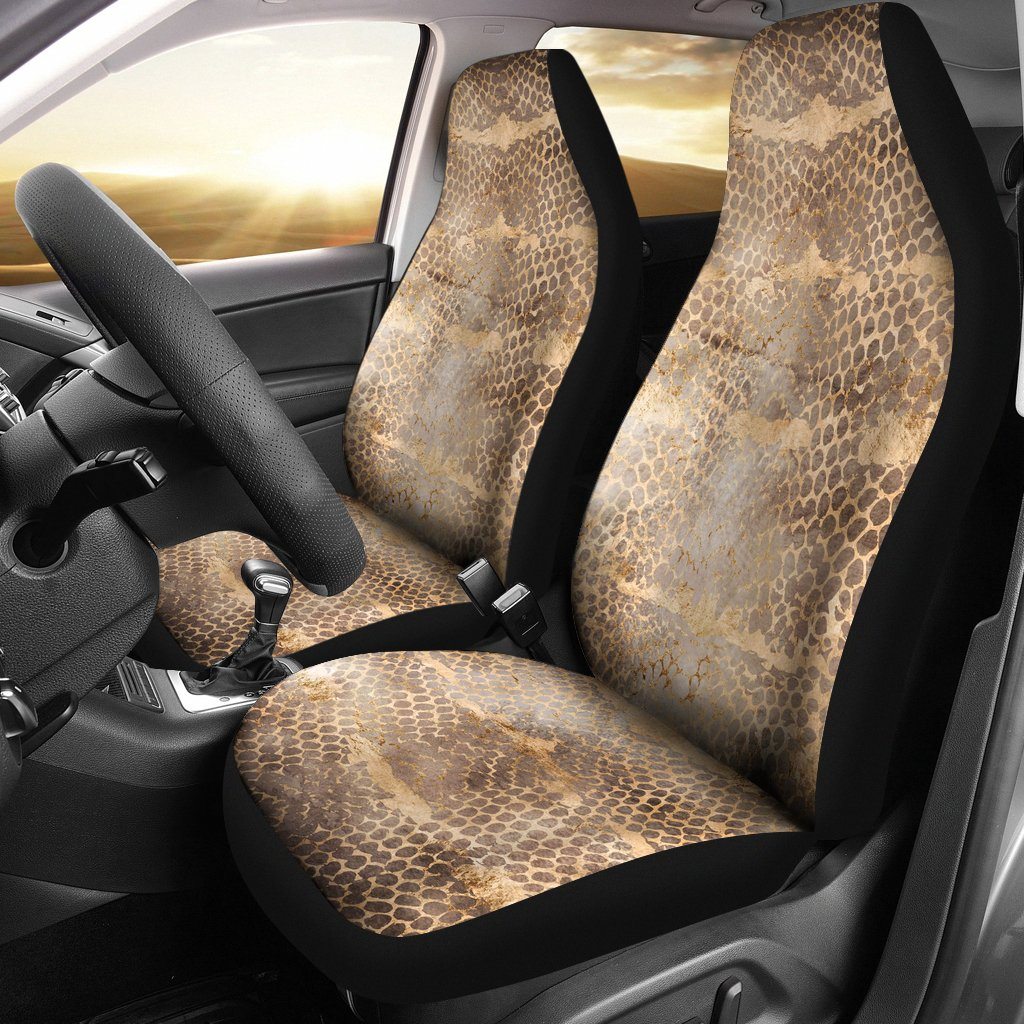 Python Earth